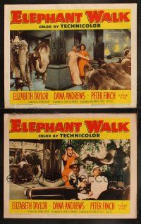 6b883 ELEPHANT WALK 2 LCs '54 Elizabeth Taylor keeps getting surrounded by elephants, Andrews!