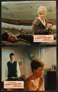 6b801 KIND OF LOVING 3 English LCs '62 John Schlesinger, romantic Alan Bates & June Ritchie!