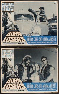 6b690 BORN LOSERS 4 LCs '67 Tom Laughlin directs and stars as Billy Jack, sexy motorcycle action!