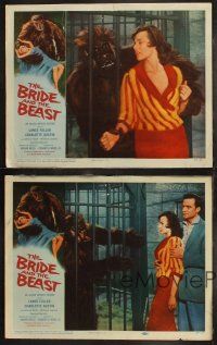 6b691 BRIDE & THE BEAST 4 LCs '58 Ed Wood, gorilla shown in every scene + sexy topless woman!