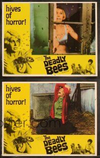 6b114 DEADLY BEES 8 LCs '67 hives of horror, fatal stings, image of sexy near-naked girl attacked!
