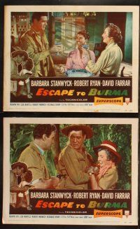 6b144 ESCAPE TO BURMA 8 LCs '55 Robert Ryan & gorgeous Barbara Stanwyck in the jungle in India!