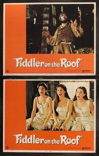 6b160 FIDDLER ON THE ROOF 8 LCs '71 Topol, Norma Crane, Leonard Frey, directed by Norman Jewison!