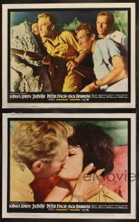 6b720 JUDITH 4 English LCs '66 Daniel Mann directed, sexiest Sophia Loren & Peter Finch!