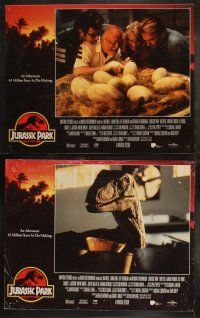 6b244 JURASSIC PARK 8 LCs '93 Steven Spielberg, Richard Attenborough re-creates dinosaurs!