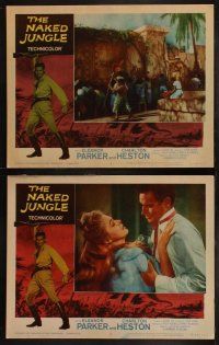 6b316 NAKED JUNGLE 8 LCs R60 TC image of Charlton Heston with rifle, Eleanor Parker, George Pal!