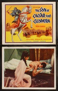 6b449 SON OF CAESAR & CLEOPATRA 8 LCs '64 Mark Damon, Baldi's Il Figlio Di Cleopatra!