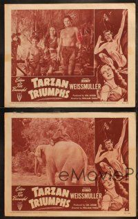 6b752 TARZAN TRIUMPHS 4 LCs R49 cool images of Johnny Weissmuller & sexy Frances Gifford as Zandra!