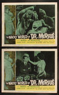 6b555 WACKY WORLD OF DR MORGUS 8 LCs '62 instant people, mad scientist sci-fi, wacky images!