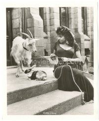 6c443 HUNCHBACK OF NOTRE DAME 8.25x10 still '57 sexy Gina Lollobrigida with goat & rabbit!