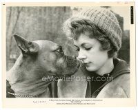 6c444 HUSTLER candid 8.25x10.25 still '61 pensive Piper Laurie in close up with boxer dog!