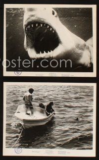 6j346 BLUE WATER, WHITE DEATH 14 8x10 stills '71 cool images of great white sharks & scuba divers!