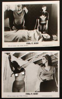 6j480 COOL IT BABY 8 8x10 stills '67 cool images of sexy smoking Beverly Baum in title role!