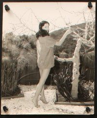 6j746 EIKO ANDO 4 8x10 stills '58 2 in costume and 2 showing off legs from Barbarian & the Geisha!