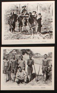 6j272 SKABENGA 25 8x10 stills '55 African jungle hunting documentary, violent animal images!