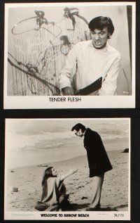 6j611 WELCOME TO ARROW BEACH 7 8x10 stills '74-R76 Laurence Harvey, Joanna Pettet, Tender Flesh!