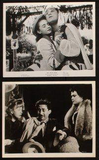 6j659 WHITE SHEIK 6 8x10 stills '56 Federico Fellini's Lo Sceicco Bianco, Trieste, Sordi, Massina!