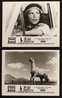 6j660 WILD HORSES 6 8x10 stills '83 cool images of Keith Aberdein, Robyn Gibbes & the title equines