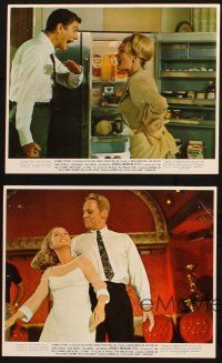 6j203 DIVORCE AMERICAN STYLE 4 color 8x10 stills '67 Dick Van Dyke & Debbie Reynolds, Van Johnson!