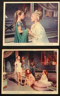 6j168 PRODIGAL 7 color 8x10 stills '55 sexiest Biblical Lana Turner & Edmond Purdom!