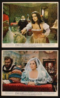 6j198 TAMING OF THE SHREW 5 color 8x10 stills '67 Elizabeth Taylor does Shakespeare, Zeffirelli