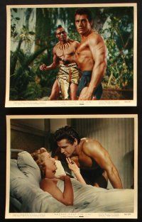6j173 TARZAN'S FIGHT FOR LIFE 7 color 8x10 stills '58 Gordon Scott, Woody Strode, sexy Eve Brent!