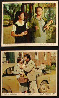6j191 TWO LOVES 6 color 8x10 stills '61 cool images of Shirley MacLaine, Laurence Harvey!