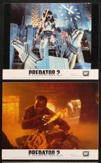 6j108 PREDATOR 2 8 color English FOH LCs '90 Danny Glover, Gary Busey, cool sci-fi images!