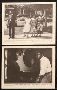6j537 RAISIN IN THE SUN 8 English FOH LCs '61 Sidney Poitier, Hansberry's prize-winning play!