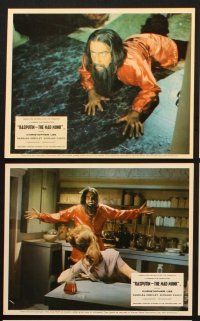 6j149 RASPUTIN THE MAD MONK 8 color English FOH LCs '66 crazed Christopher Lee, Shelley, Hammer!