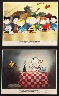 6j063 BON VOYAGE CHARLIE BROWN 8 8x10 mini LCs '80 Peanuts, Snoopy, Charles M. Schulz!
