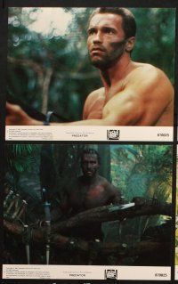 6j107 PREDATOR 8 8x10 mini LCs '87 Arnold Schwarzenegger, Carl Weathers, w/ cool cast portrait!