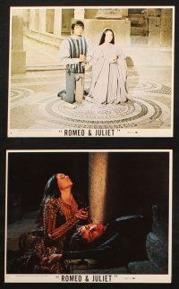 6j170 ROMEO & JULIET 7 8x10 mini LCs '69 Franco Zeffirelli, great images of Hussey & Whiting!