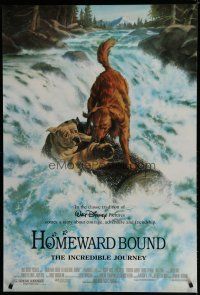 6m403 HOMEWARD BOUND DS 1sh '93 Walt Disney, great art of animals going down river!