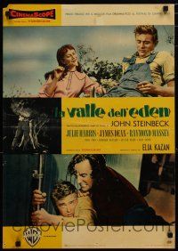 6r307 EAST OF EDEN Italian photobusta '55 first James Dean, John Steinbeck, Elia Kazan classic!