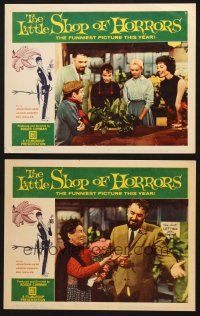 6s926 LITTLE SHOP OF HORRORS 2 LCs '60 Jonathan Haze, Mel Welles, classic directed by Roger Corman!