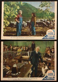 6s570 COURAGE OF LASSIE 6 LCs '46 great images of Elizabeth Taylor & the famous canine star!