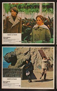 6s202 HAROLD & MAUDE 8 LCs '71 wonderful images of Ruth Gordon & Bud Cort, Ashby classic!