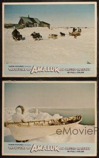 6s703 LEGEND OF AMALUK 4 LCs '71 great images of Eskimos, sled dogs, frozen north!