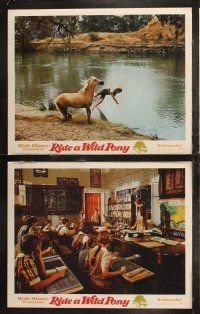 6s543 RIDE A WILD PONY 7 LCs '76 Disney, a rich girl, a poor boy, Australian horses!