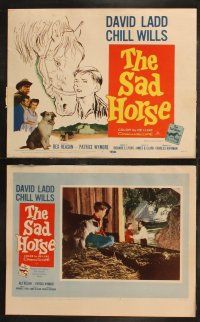 6s381 SAD HORSE 8 LCs '59 art of David Ladd & title horse, Chill Wills, Rex Reason
