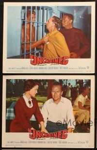 6s655 UNCHAINED 5 LCs '55 Barbara Hale, Chester Morris, Elroy Crazylegs Hirsch in prison!