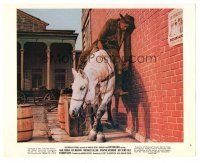 6t213 CAT BALLOU color 8x10 still #6 '65 drunken Lee Marvin passed out about to fall off his horse!