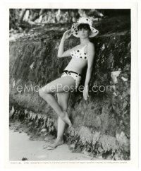 6t118 LESLIE CARON 8.25x10 still '64 sexy full-length portrait in bikini from Father Goose!