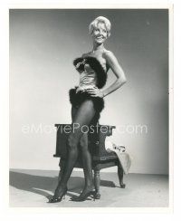 6t127 LOLA ALBRIGHT 8.25x10 still '66 playing a bunny cocktail waitress in Lord Love a Duck!