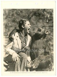 6t757 MARTHA RAYE 8x11 key book still '36 she's meets her mouth match in Jiggs the acting chimp!