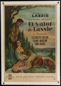 7a162 COURAGE OF LASSIE linen Argentinean '46 art of Elizabeth Taylor sitting with famous canine!