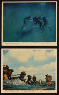 7h277 AROUND THE WORLD UNDER THE SEA 2 color 8x10 stills '66 cool scuba diving images!