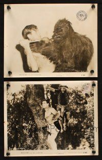 7h944 KING OF THE CONGO 2 8x10 stills '52 Buster Crabbe as The Mighty Thunda in Columbia serial!