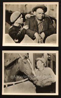 7h982 STABLEMATES 2 8x10 stills '38 cool images of Wallace Beery, Mickey Rooney & race horse!